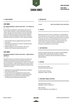 Escolhe o modelo Peking e cria um CV profissional